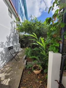 Κήπος έξω από το Tropical urban