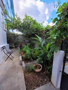 um jardim com plantas, uma cerca e uma cadeira em Tropical urban em Schœlcher