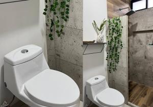 a bathroom with a white toilet and a plant at Departamento climatizado excelente ubicación in Veracruz