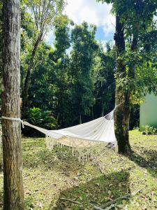 a hammock tied to a tree in a field at Hacienda Verde Luz 