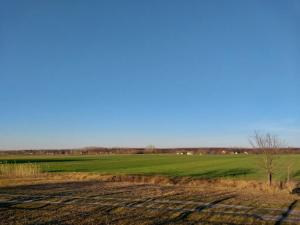 a field of green grass with a blue sky at Ranch 170 in Subotica
