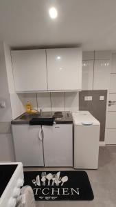 セレスタにあるJoli appartement F2 entièrement rénovéの白いキャビネットとキッチンラグ付きのキッチン
