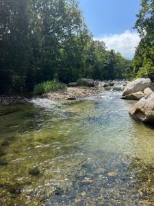 a river with rocks and trees in the background at CABAÑA TAYRONACA in Calabazo