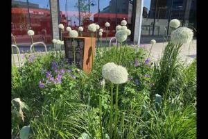 a garden with white balls in the grass and flowers at Contemporary City Centre 3 bedroom apartment in Sheffield
