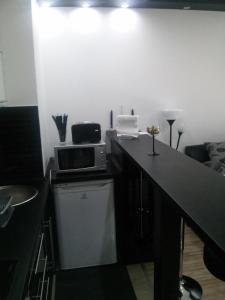 une cuisine avec un comptoir avec un micro-ondes dessus dans l'établissement Fészek Apartman, à Debrecen 7 autres photos