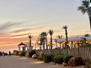 Naturlandskabet i nærheden af lejligheden