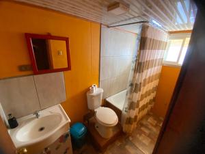 a bathroom with a sink and a toilet and a shower at Hospedaje Alto Palena de Puerto Cisnes in Puerto Cisnes