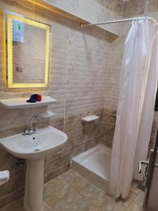 een badkamer met een wastafel en een douche bij High apartment in madinaty in Madinaty
