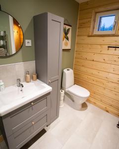 a bathroom with a sink and a toilet at Blueberry Lodge 8 personnes in Mjölan