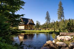 a log cabin with a pond in front of it at Dolina CHOCHOŁOWSKA-drewniany domek z balią in Kościelisko