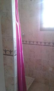a shower with a pink shower curtain in a bathroom at Propriete de 2 chambres avec terrasse et wifi a Liginiac a 5 km de la plage in Liginiac