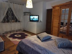 una camera con un letto e una televisione di Milu Residence 2 a Ghimbav