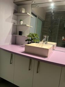 a pink bathroom counter with a sink and a mirror at BLACK CANE LODGE in Saint-Claude