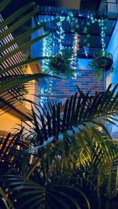 Zahrada ubytování Apartamento Turismo en Ibagué ESMERALDA