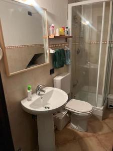 een badkamer met een wastafel, een toilet en een douche bij Jack's House in Courmayeur