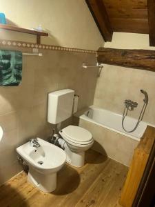 a bathroom with a toilet and a bath tub at Jack's House in Courmayeur