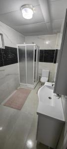 uma casa de banho com um chuveiro, um lavatório e um WC. em Mercan Villa em Sapanca