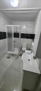 uma casa de banho com um chuveiro, um lavatório e um WC. em Mercan Villa em Sapanca
