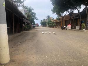 Fotografie z fotogalerie ubytování Hab #3 La Casa Del Profe Salo v destinaci Zapote