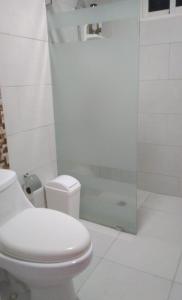 a white bathroom with a toilet and a shower at Apartamento en Santo Domingo in Los Paredones