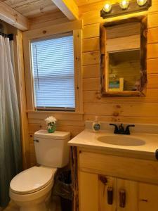 W łazience znajduje się toaleta, umywalka i lustro. w obiekcie Rustic Cabin with loft in Surf City with Parking w mieście Surf City