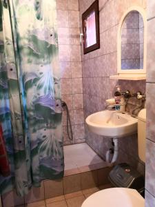 La salle de bains est pourvue d'un lavabo et d'un rideau de douche. dans l'établissement Mountain Lodge - Mavrovo, à Mavrovo