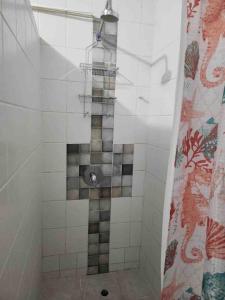 a shower in a bathroom with a shower curtain at Browne’s Oceanview Apartments in Arnos Vale