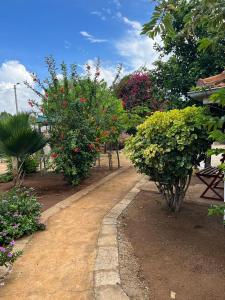 a garden with bushes and flowers on a dirt road at 4 Rooms + Pool in private historic Villa in Mombasa