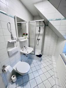a bathroom with a shower and a toilet and a sink at Pension Maria in Rochlitz