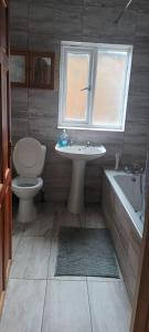 a bathroom with a toilet and a sink and a tub at Greenwich Homestay in London