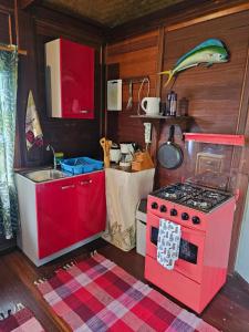 a kitchen with a pink stove and a sink at Chalet Avea in Parea
