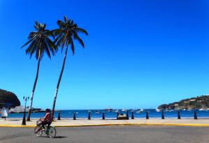 Ein Mann fährt mit dem Fahrrad eine Straße mit Palmen entlang in der Unterkunft Rositas Hotel in San Juan del Sur