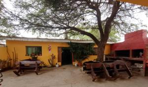 a yard with chairs and a tree in front of a building at Hostal Benjamin in Cafayate