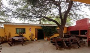 een tuin met stoelen en een boom voor een gebouw bij Hostal Benjamin in Cafayate