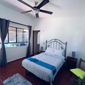 a bedroom with a bed and a ceiling fan at VILLA DOÑA CONCHITA in Ajijic