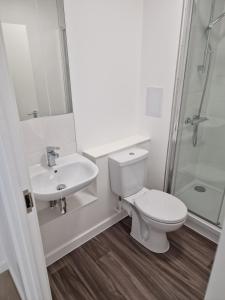 La salle de bains est pourvue de toilettes, d'un lavabo et d'une douche. dans l'établissement Brixton Village Flat- Private En-suite double bedroom, à Londres