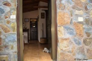 Fotografia z galérie ubytovania Cosy Chalet with Terrace in Hermigua - Ideal for Couples v destinácii Hermigua