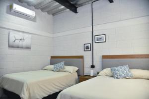 2 camas en una habitación con paredes blancas en Sealion Dive Center en Topolobampo