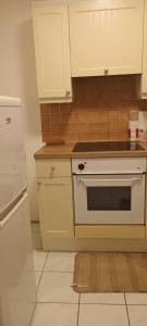 uma cozinha com um fogão branco e um frigorífico em Croydon Homestay-Shared Apartment with Shared Bathroom em South Norwood