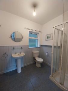 a bathroom with a toilet and a sink and a shower at Rosie's cottage in Gweedore