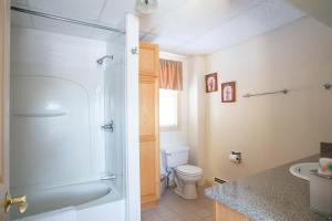 uma casa de banho com um chuveiro, um WC e um lavatório. em Swift River Suites em Rumford