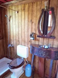 uma casa de banho com um WC, um lavatório e um espelho. em BIVAQUE hospedaje em Tigre