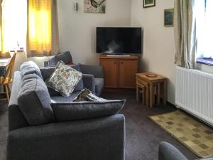 ein Wohnzimmer mit einem Sofa und einem Flachbild-TV in der Unterkunft Oakwood Venbridge Farm in Cheriton Bishop
