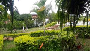 En have udenfor La Quinta Barichara