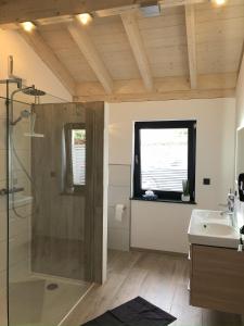 a bathroom with a shower and a sink at Ferienhaus Knorreichenstieg in Nieder-Werbe