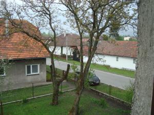 a house with a car parked in a yard at Penzion Adria in Turčianske Teplice