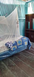 a bedroom with a bed with a mosquito net at Hospedaje y jardin botanico chiltun maya in El Remate