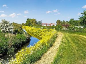 a ditch with yellow flowers next to a river at Wren - Uk41949 in Louth