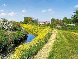 a ditch filled with yellow flowers next to a river at Kingfisher - Uk41950 in Louth