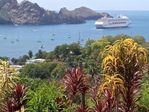 a cruise ship in a body of water with boats at CHEZ ALIZHIA in Nuku Hiva